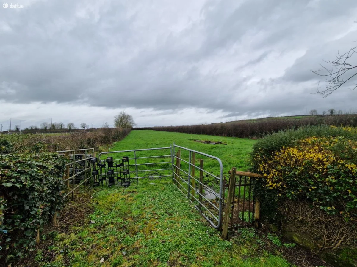 Boolavoord,Meanus,Kilmallock,Co. Limerick, Meanus, Co. Limerick - Image 3