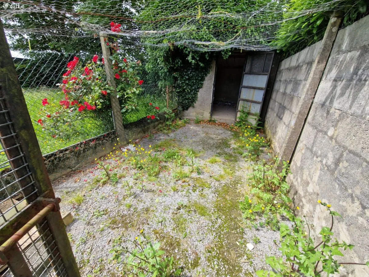 2 Carrigeen,Croom,Kilmallock,Co. Limerick, Croom, Co. Limerick - Image 19